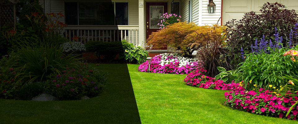 Putney Landscapers