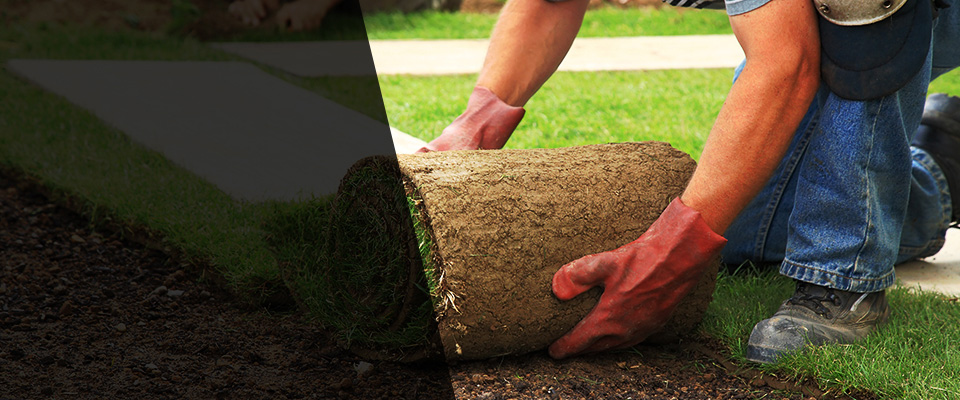 Putney Landscapers